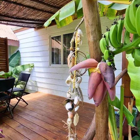 Moorea - Studio Natura